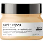 loreal_masque_absolut_repair_zoom