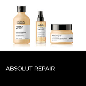 Absolut Repair